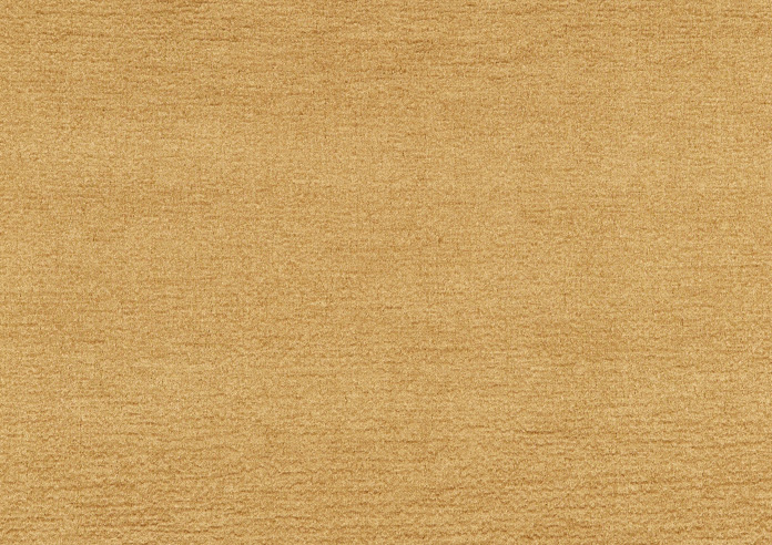 Secret, Honey - Fabric Only - Image 3